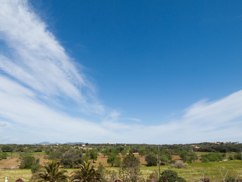 Agroturismo S Hort De Can Carrio Ag226 Ses Salines  Exteriör bild